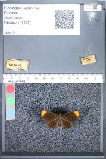 Media type: image;   Entomology 75533
